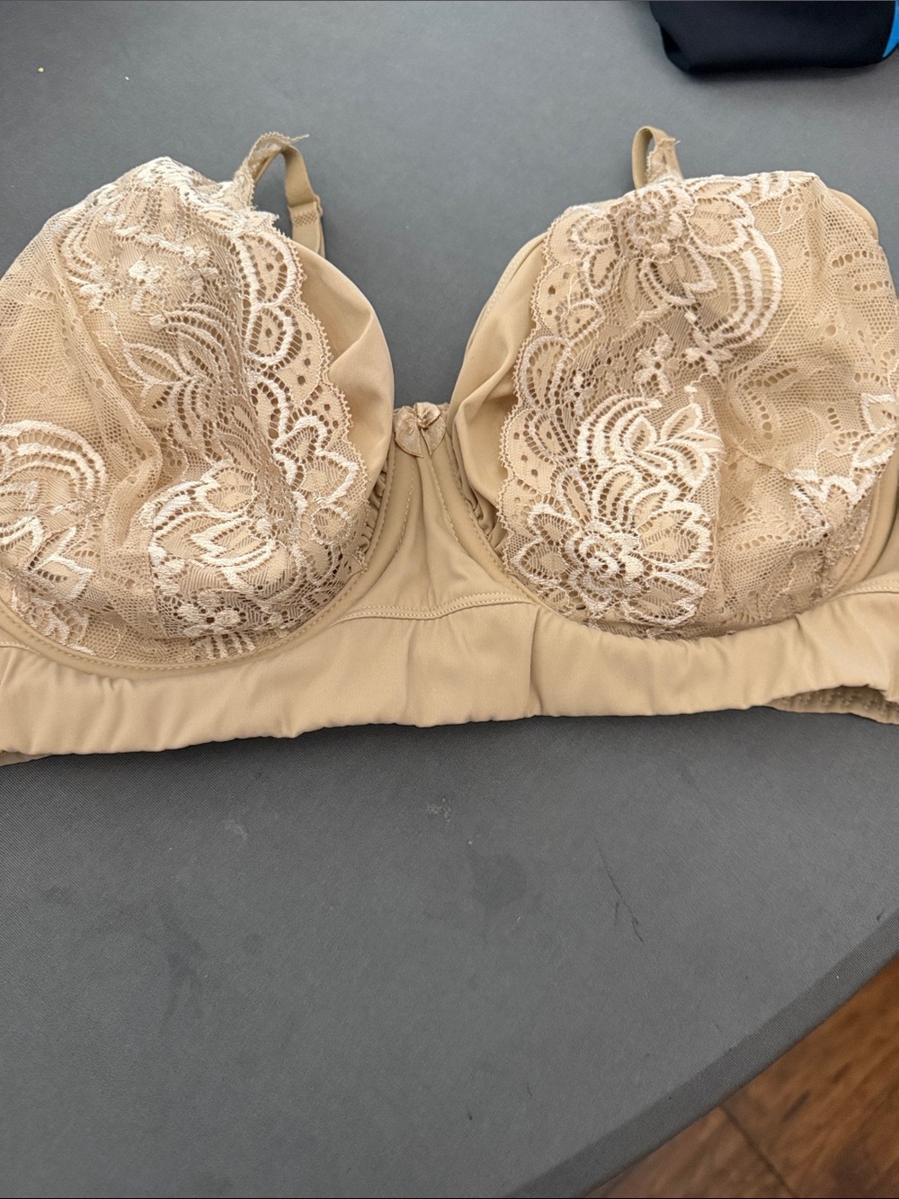 Rhonda Shear Beige Lace Pull On Underwire Bra